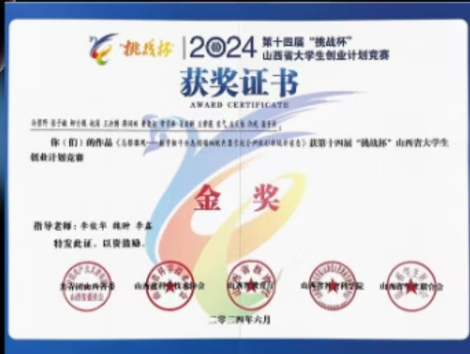 团队荣誉二